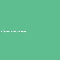 Kleine Stahl-Kanne