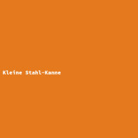 Kleine Stahl-Kanne