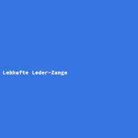Lebhafte Leder-Zange